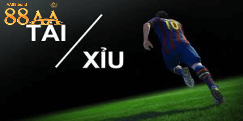 Tham khảo ý kiến của chuyên gia để bắt kèo tài xỉu chính xác hơn